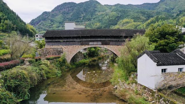 【我要去慶元避暑】不出省的療休養，就躲進避世的山野中享樂吧！