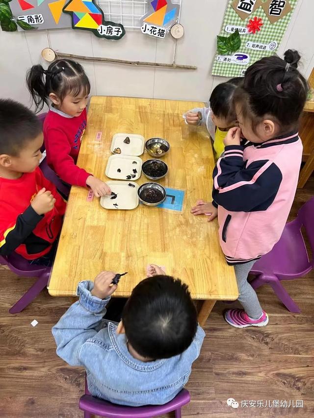 好吃的黑黑——诺亚舟庆安乐儿堡幼儿园中四班课程故事