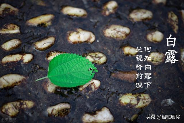 明日白露，不差钱的话吃这5种水果，清甜多汁，帮助家人远离秋燥