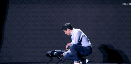 剛剛，小米發佈瞭一隻狗！售價高達9999元，比我傢的狗還聰明