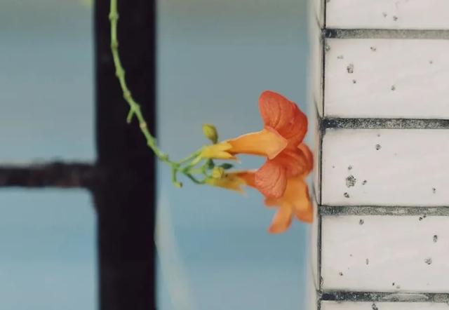 人到中年，要警惕身上出现的这几件“怪事”