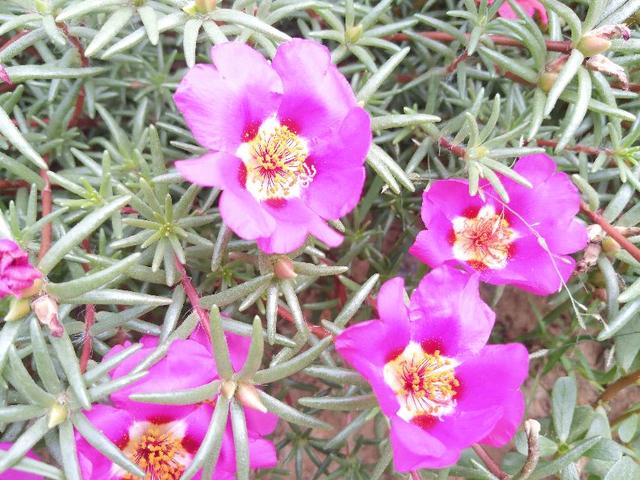 老年人养生，注意四点，否则有损健康长寿