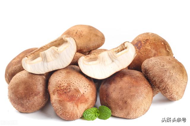 每日生活小妙招——防止牙齿变黄