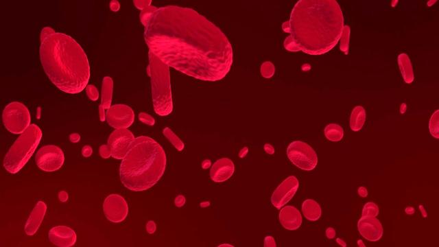 熊猫血型是什么血型（不同血型各自有什么区别和特点）