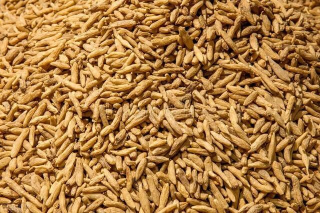 中兽药---温化寒痰类中兽药功能及用量