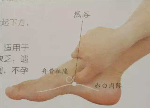 经常按揉三大穴位，恢复胰腺功能，有效降糖——糖友，勿错过