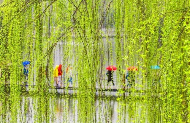 「原创诗词」万里云 | 惜春欲赋诗心老 辛丑仲春十词