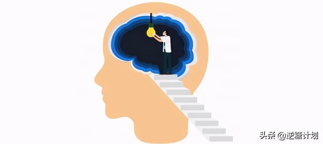 揭秘！人体所需七大营养素背后的健康奥秘