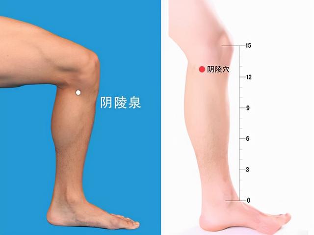 九种体质你到底属于哪一种，又该怎样调理？中医陈莹告诉您