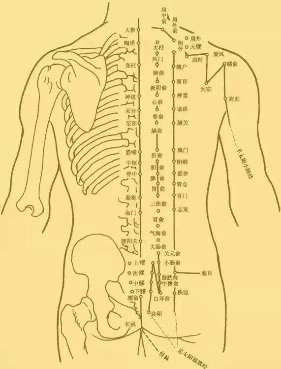 经常犯困，是得了不治之症吗？