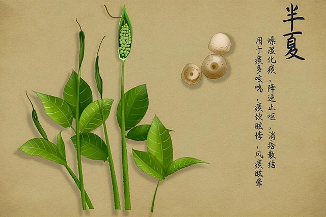 胃气不舒、咳嗽痰多、恶心呕吐，怎么知道我们有痰湿