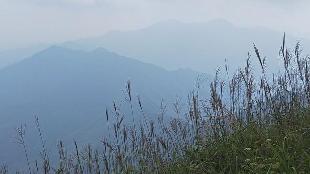 探索连云山顶峰常年云雾之谜- 太阳信息网