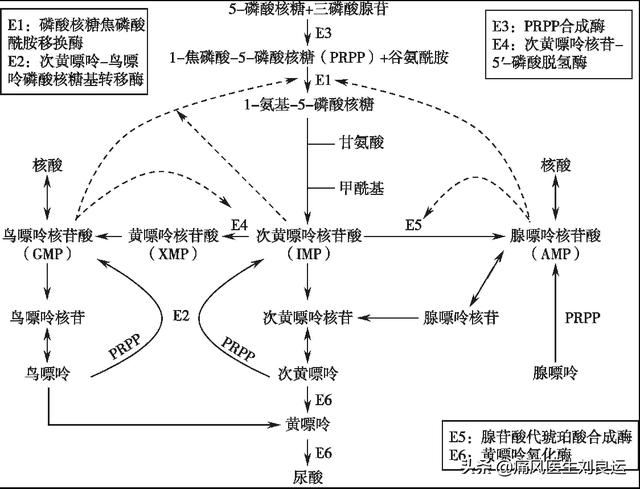 痛风病人不能吃什么菜？