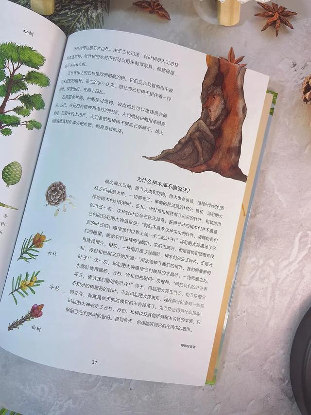 桦树叶治疗脚臭？椴树花茶能治感冒？这本自然科普绘本简直太棒了