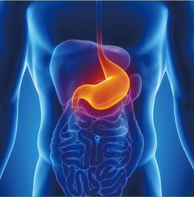 河北一男子坚持喝小米粥养胃，6个月后，身体怎么样了？