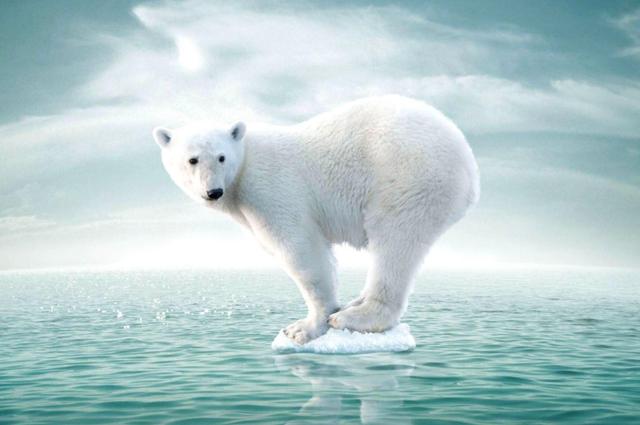 全球极端天气频发，联合国拉响红色警报！地球升温2℃会怎样？