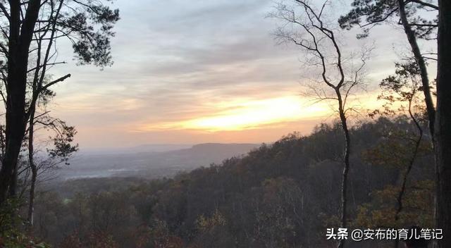 我如何用手帐，全面提高孩子的学习兴趣