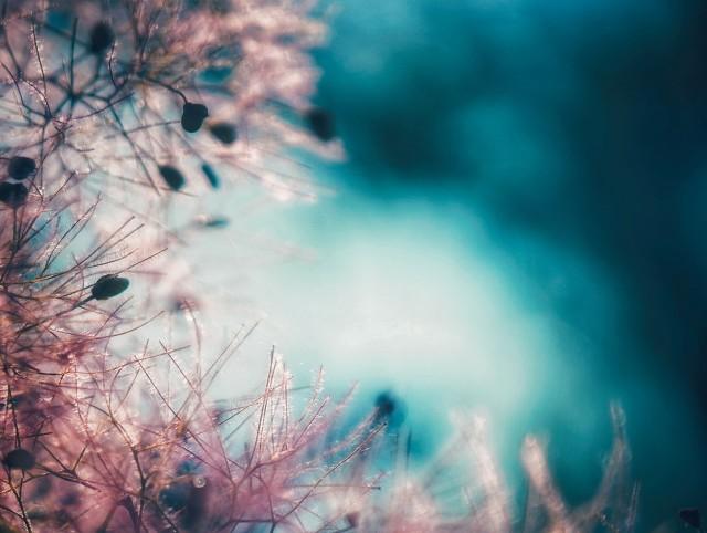 胃不舒服，三分吃药七分养