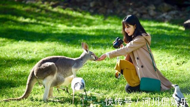 澳大利亚回归3G时代，澳洲开始拆除华为设备，并且全是华为设备