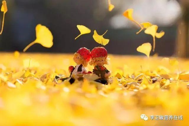 秋季饮食知多少？——营养师给您解答