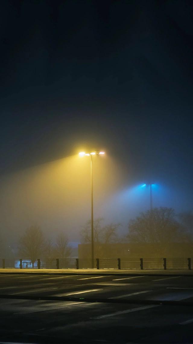 抖音很火的猫壁纸抖音网红星狗壁纸