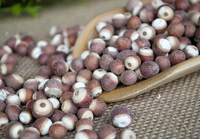 秋季：宜吃果，忌吃瓜，5种“果”经常吃，或能健脾、补气血