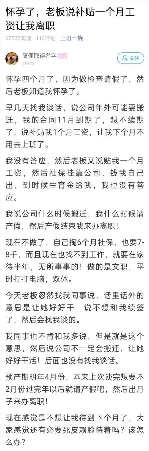 怀孕了，老板说补贴一个月工资主动离职