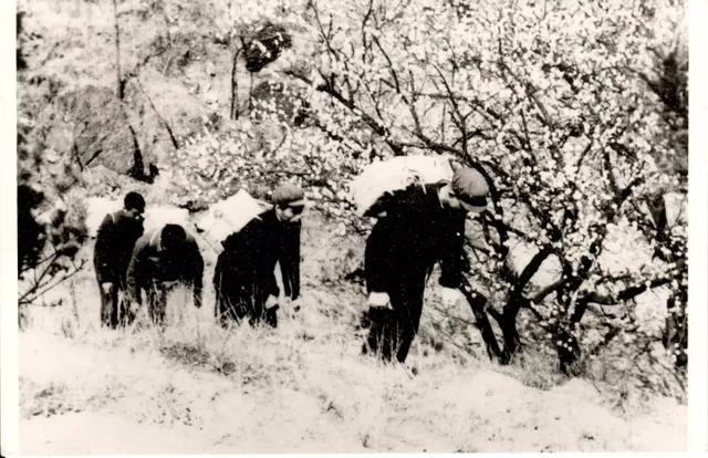 天天被人白嫖，还年入千亿！最佛系老字号，凭啥干翻网红店？