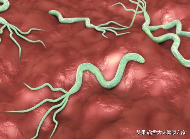 胃里有幽门螺杆菌，牢记3吃、3不吃，胃病或许绕道走