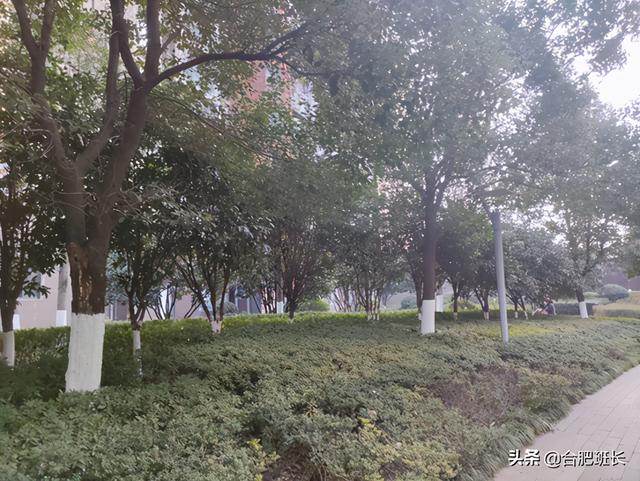 融科怎么样