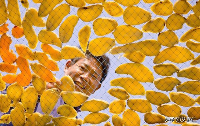 艾嘉仁萝卜红薯等食物晒干后营养翻倍