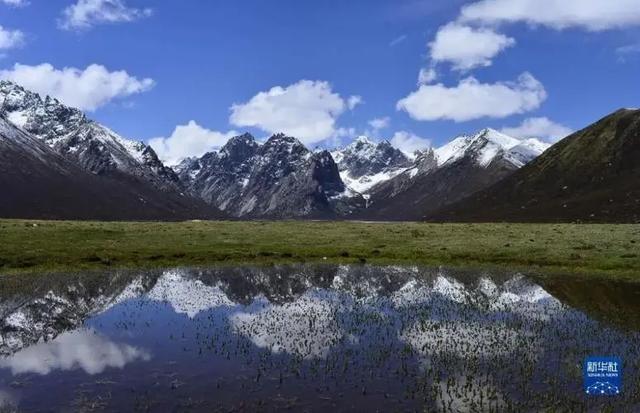 重磅 中国正式建立国家公园 5个地方入选 国家公园有啥意义 全网搜