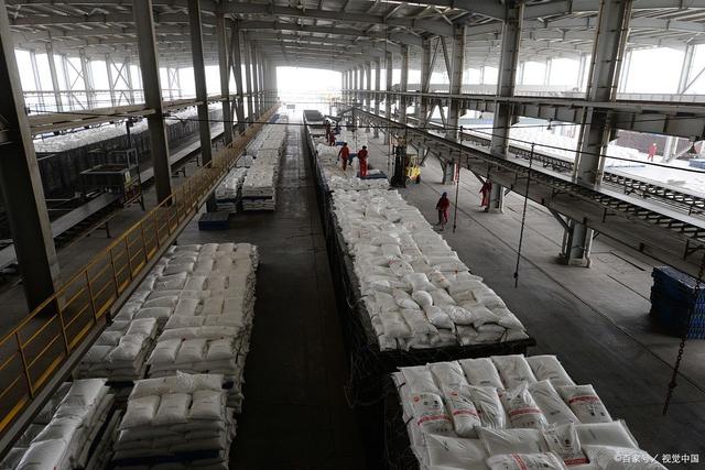 成也萧何，败也萧何，9天7跌停！煤炭价格腰斩