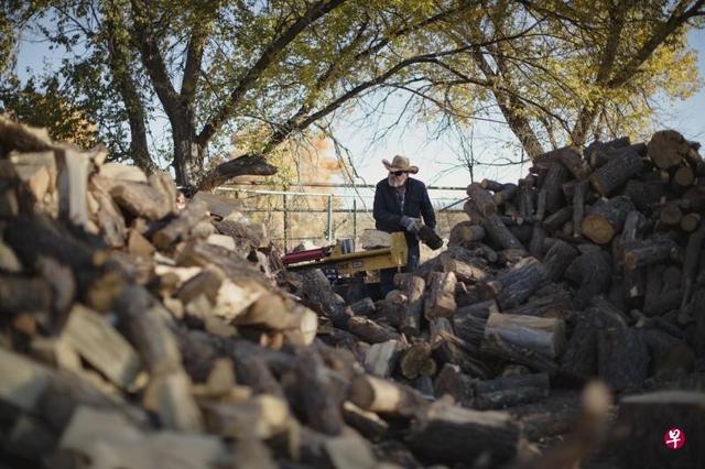 全球能源危机啥情况了，为何都在重拾木柴取暖？