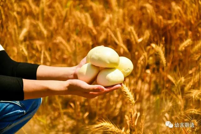 让美育走进家庭之手指印画—小麦