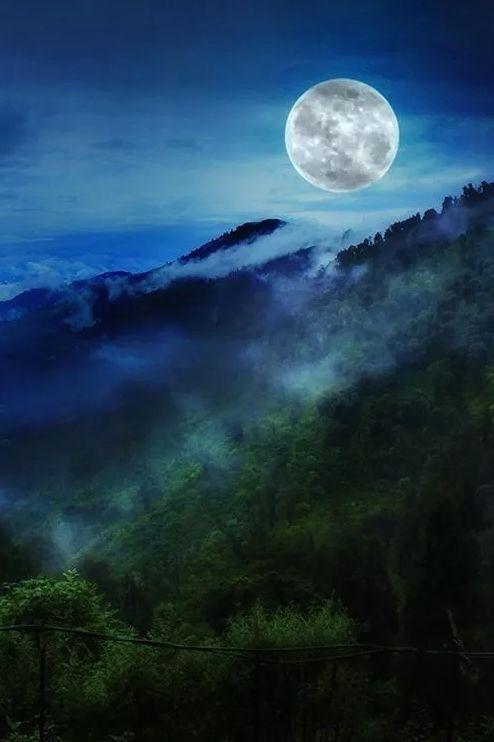 刘禹锡诗中秋夜月光下什么的优美景色景色(有关夜晚月色的诗句)