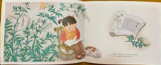 每天一本亲子共读绘本推荐004《仙草青蒿》