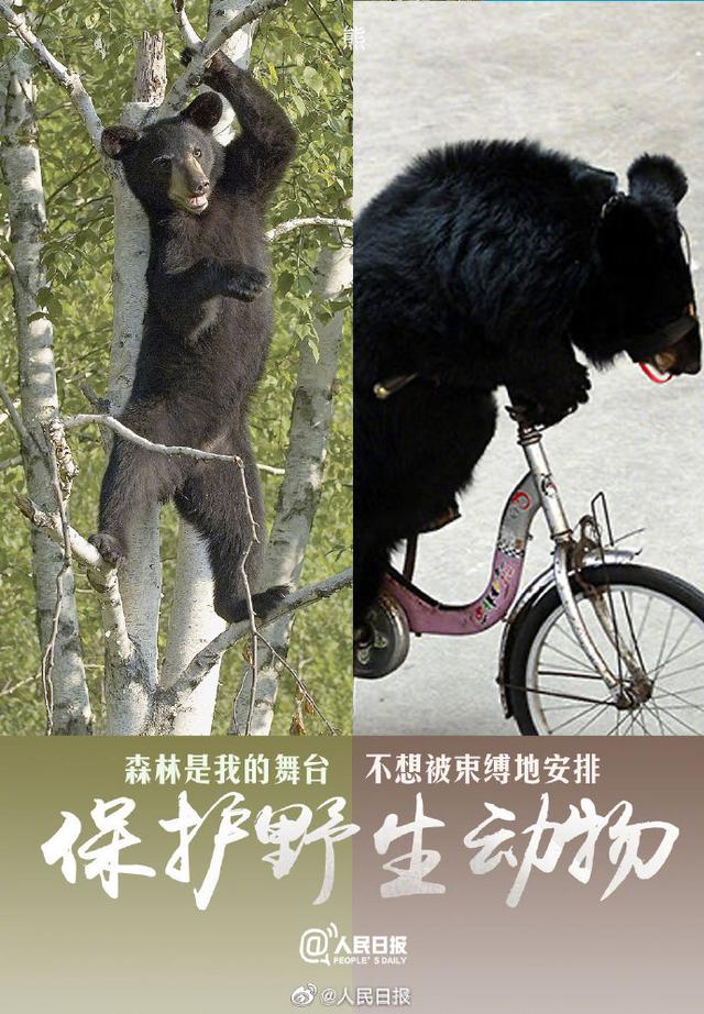 今天，是世界动物日
