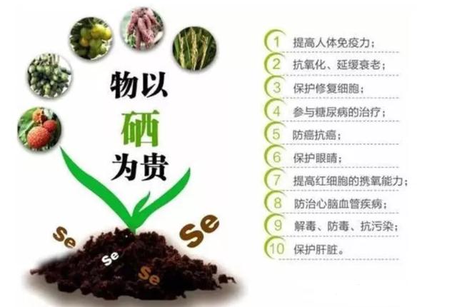 菜吧：现已开发的富硒食物有哪几类？