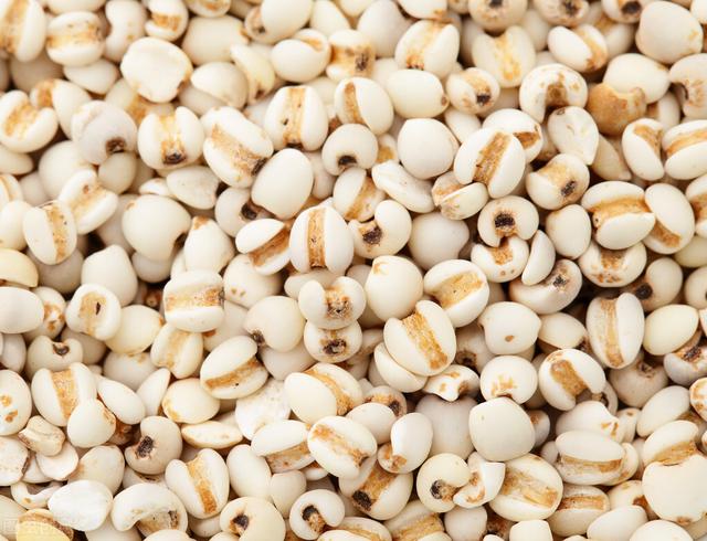 叶天士治疗眩晕（头晕）医案赏析