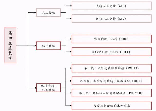 试管一次6万！三胎政策下，锦欣生殖有什么亮点？