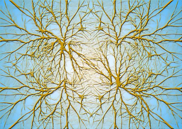 孩子注意力不集中、成绩下降怎么办？这招最管用| 成熟大脑系列课3