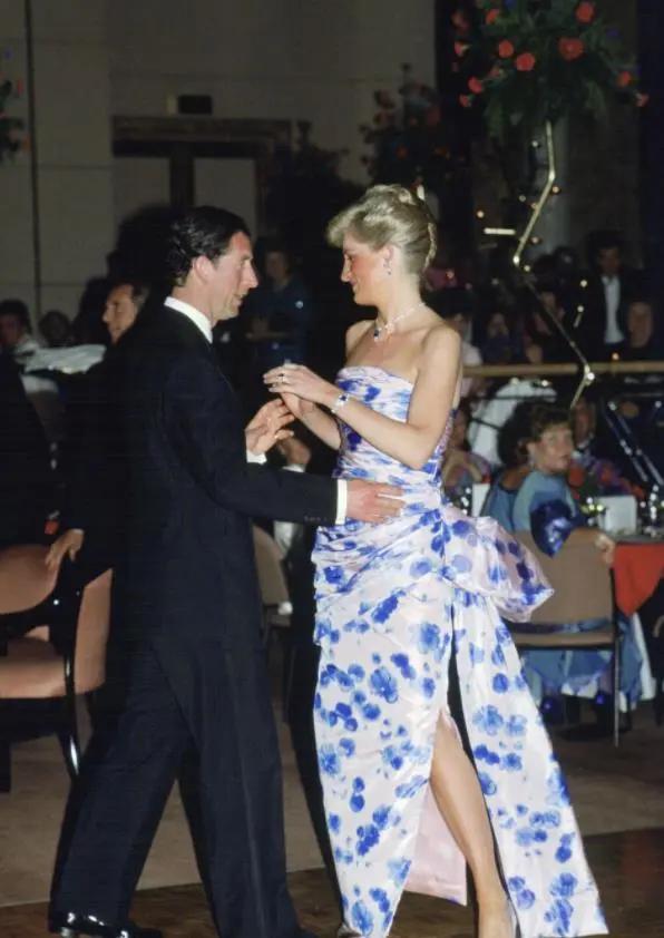 戴安娜卡米拉和查尔斯的故事（查尔斯双标）