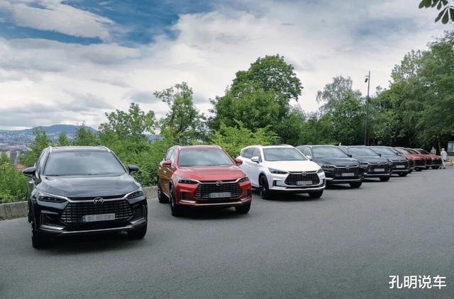 比亚迪唐欧洲交车，篆体汉字标换成英文，旋转大屏让挪威车主夸赞