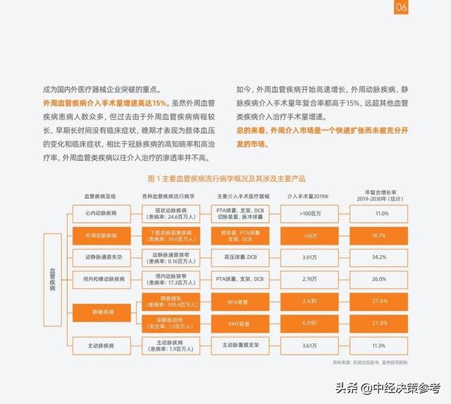 2021外周介入行业研究