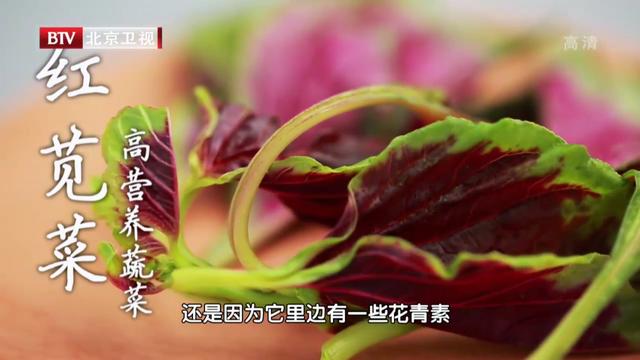 秋分后吃苋菜，清热利湿，营养又美味
