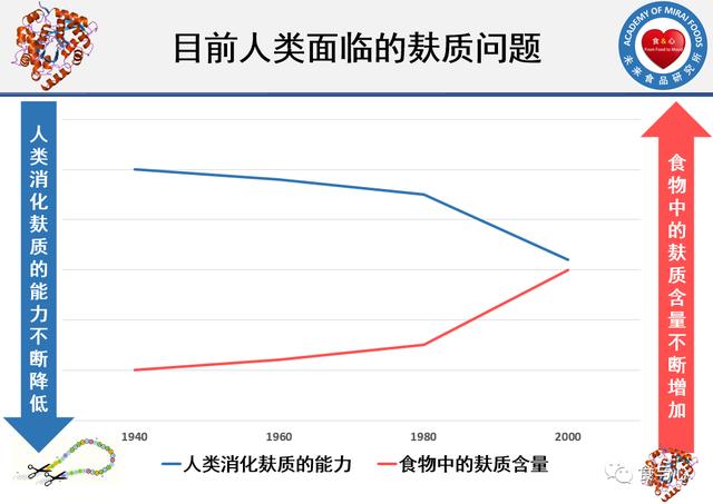 人体能消化麸质吗？怎样安全地吃面食？