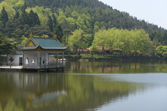 大林寺桃花的诗意（大林寺桃花古诗的意思翻译）