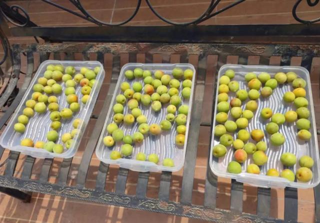 梅子的“最高境界”，是老祖宗的“护咽法宝”