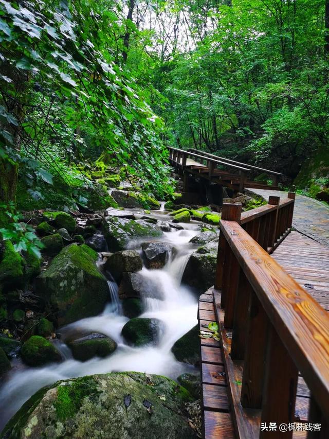 這個七夕唯愛永恒，到遼寧楓林谷山林間感受山河浪漫